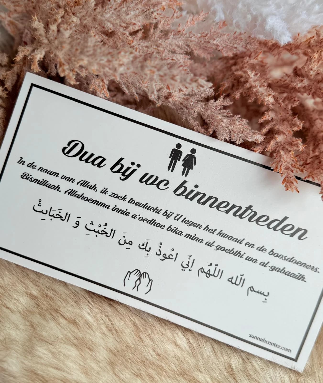 Dua bordje (2)