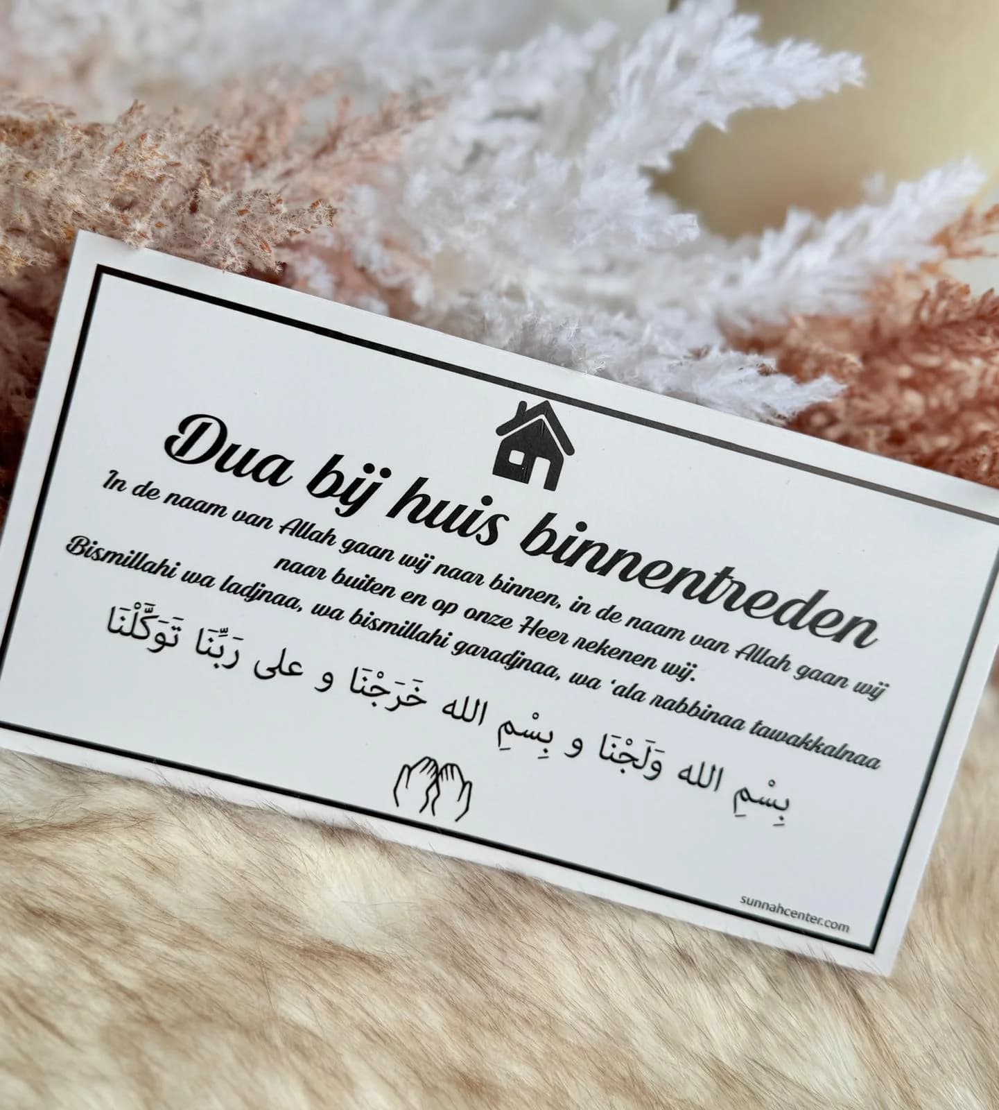 Dua bordje (4)