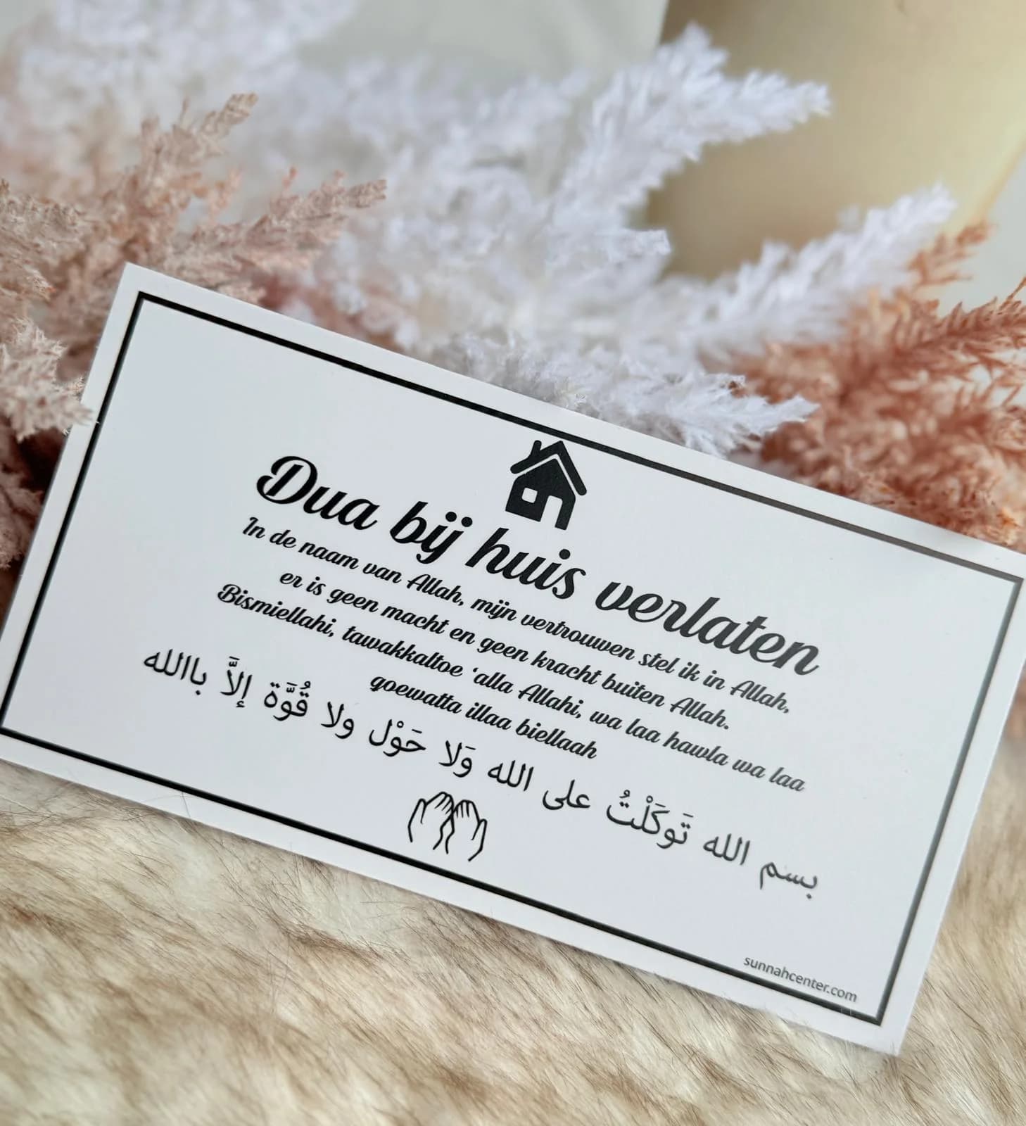 Dua bordje (5)