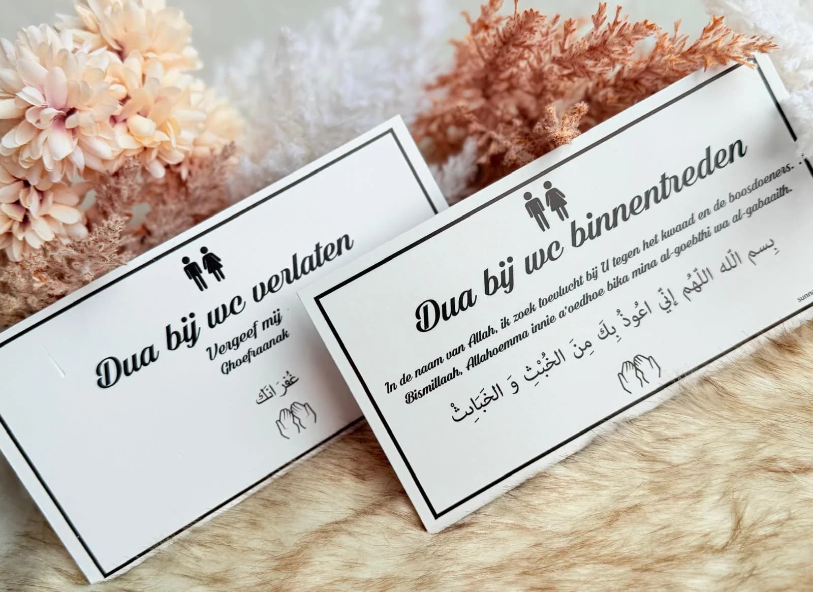 Dua bordje (6)